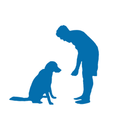 PLAN THUMBNAILS-02.png