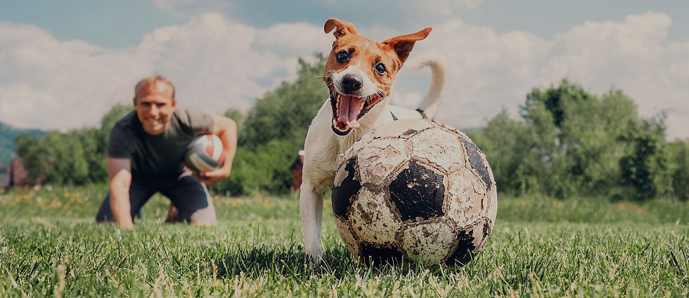 AdobeStock_114154977_edited_edited_edite