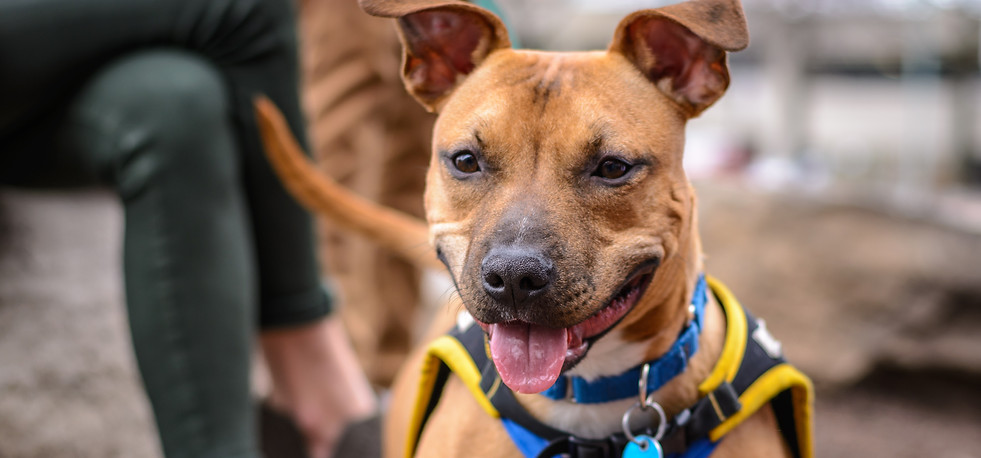 courtney-roberson-lirx2dmsvHM-unsplash.j