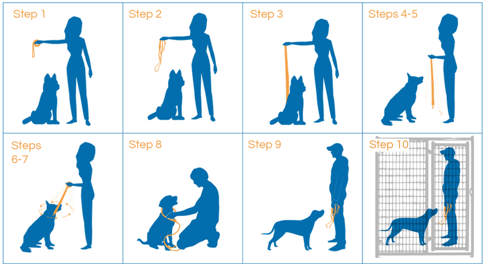 Leash Biter all steps-01.png