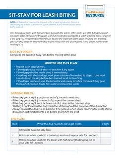 Sit-Stay for Leash Biting.jpg