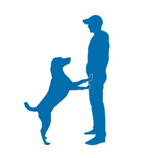 PLAN THUMBNAILS-06.png