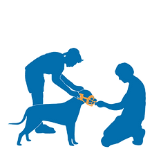 PLAN THUMBNAILS-08.png