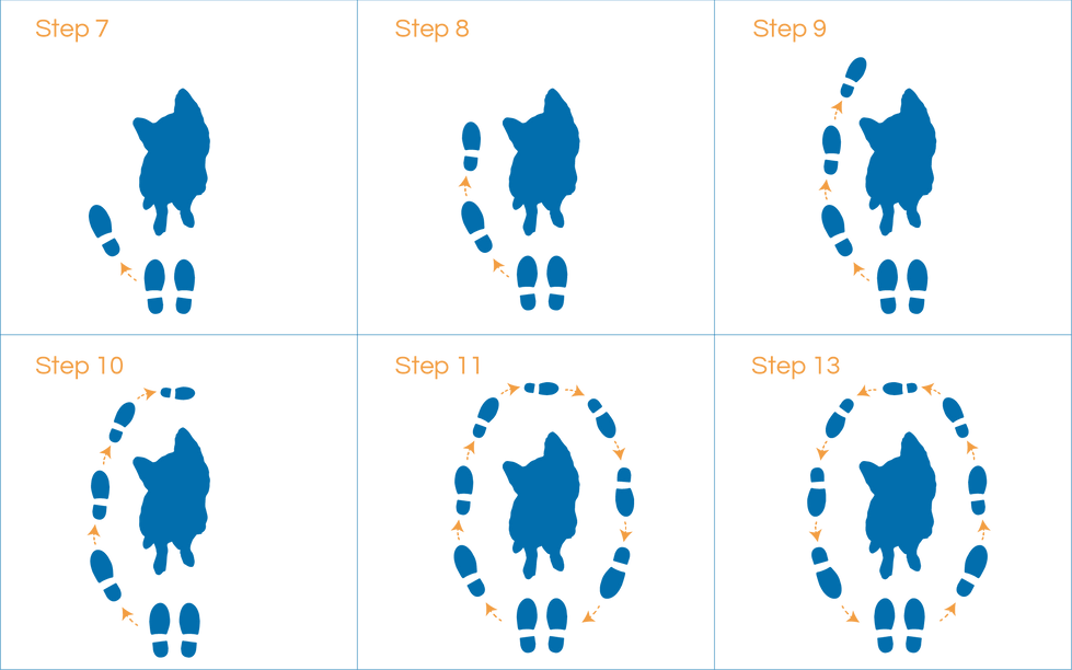 Walk-around graphic.png