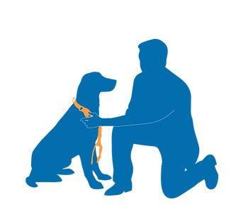 harness sit-stay5-01.png