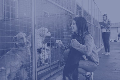 AdobeStock_257182690web%20size_edited.jp