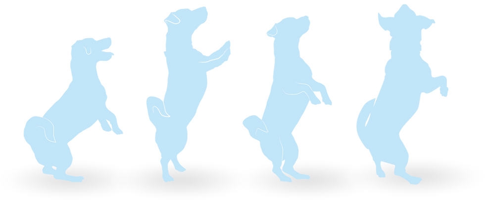 jumping all blue trans-01.png