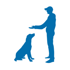 PLAN THUMBNAILS-01.png