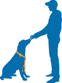 harness sit-stay4.png