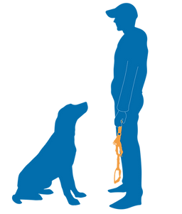 harness dangle by side-01.png