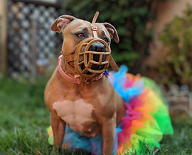 73458919_503520487164019_388411828360708