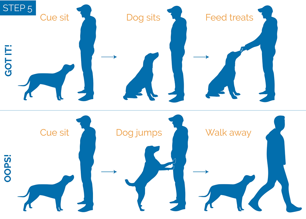 SIT TO GREET5-01.png