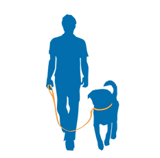 PLAN THUMBNAILS-07.png