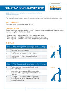 Sit-Stay for Harnessing.jpg