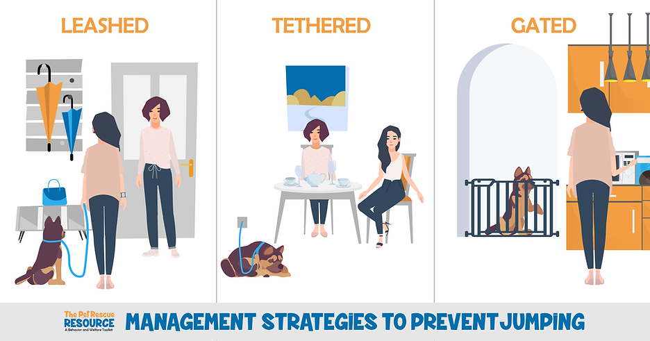 Management options-01.png