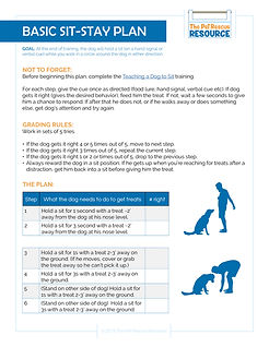 Basic sit-stay.jpg