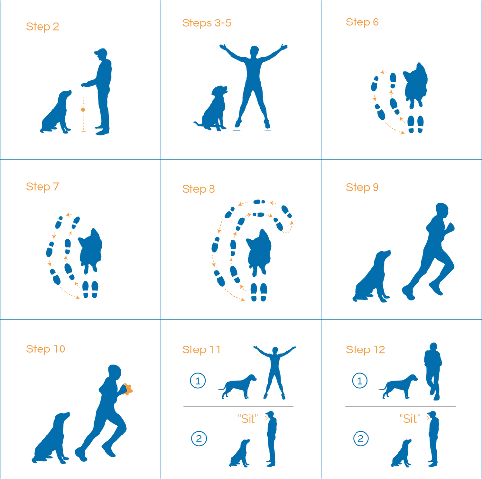 Movement all steps.png