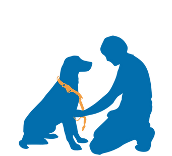 harness sit-stay6-01.png